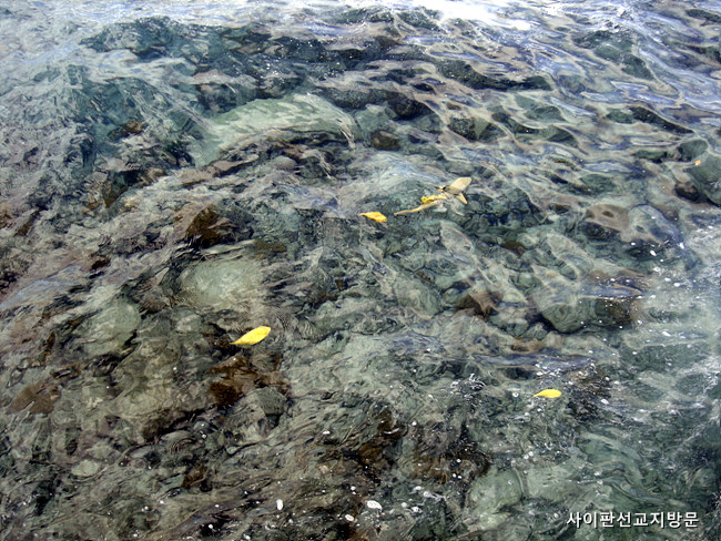 20090913_24.jpg