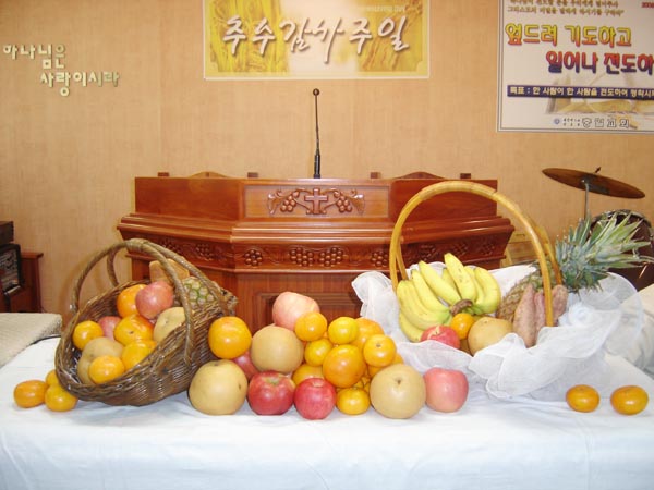 20061119_1.jpg