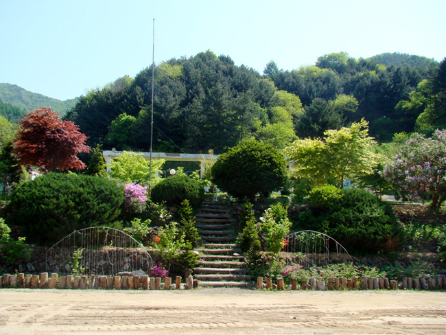 20080505_2.jpg