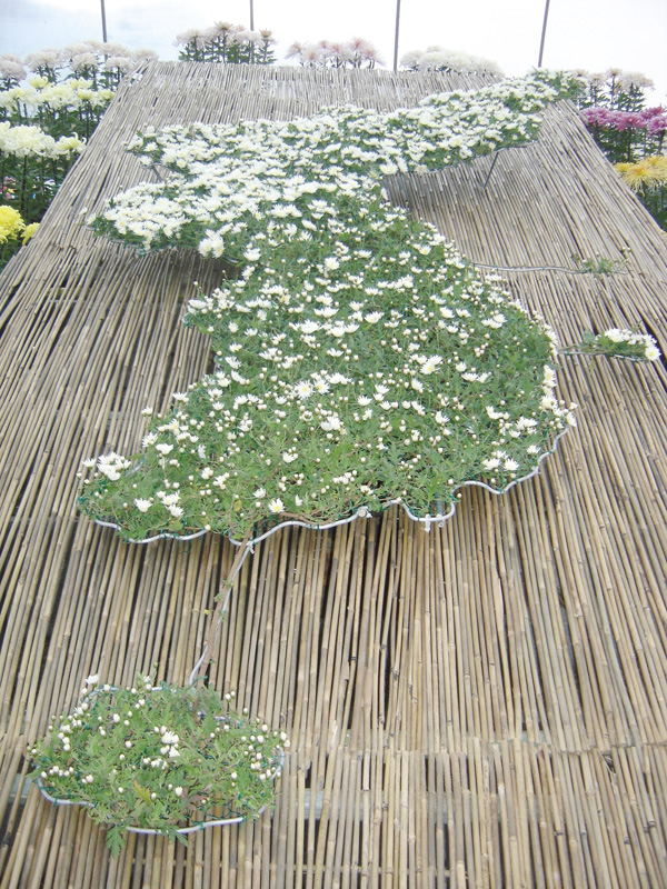 20071111_43.jpg