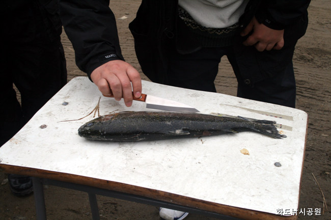 20090207_04.jpg
