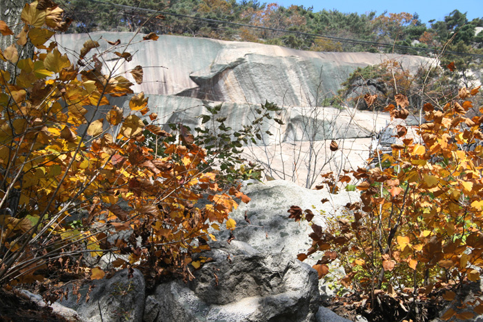 20121004_05.jpg