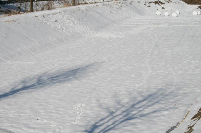 20130126_03.jpg