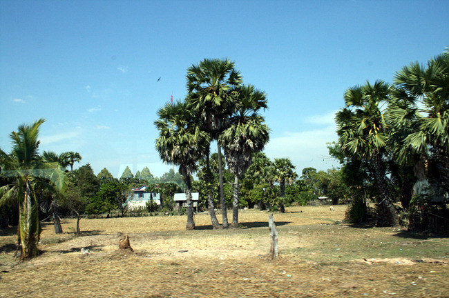 20110121_18.jpg