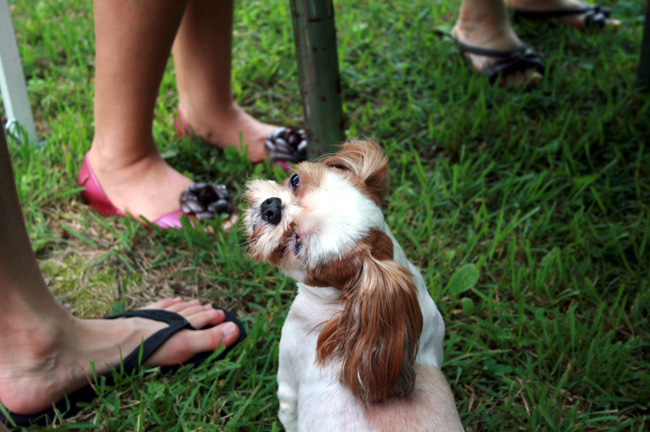 20110724_157.jpg