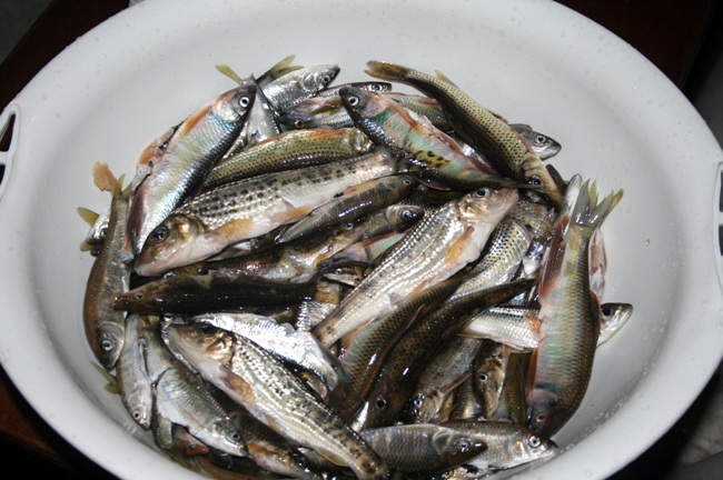 20110724_212.jpg