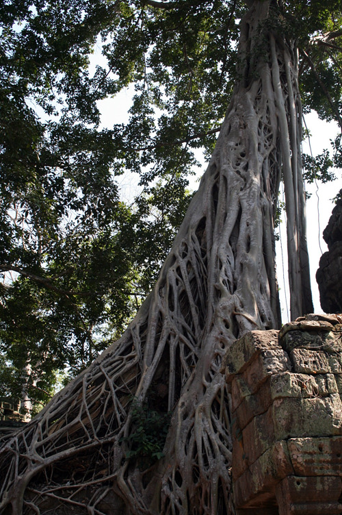 20110121_86.jpg