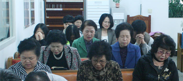 05.jpg