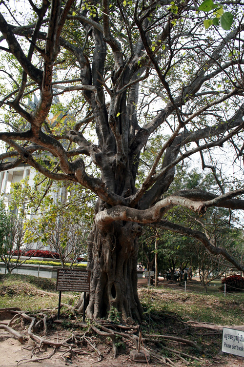 20110117_21.jpg
