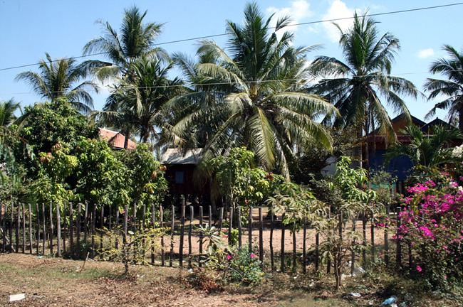 20110121_15.jpg