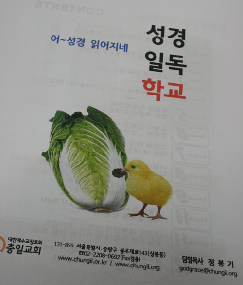 08.jpg