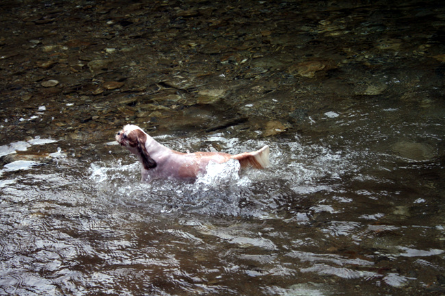 20110724_201.jpg