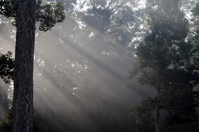 20110121_60.jpg