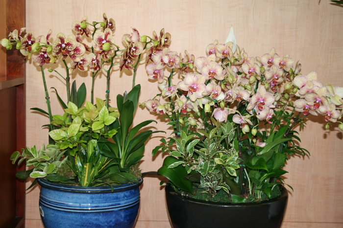 20110612_01.jpg
