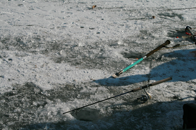 20120107_08.jpg