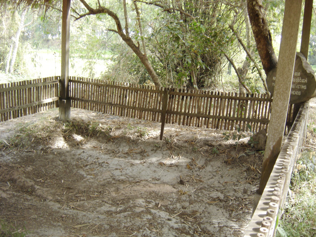 20110117_17_2.jpg