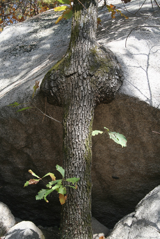 20121004_45.jpg