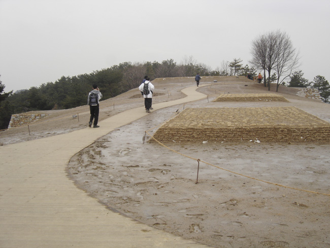 20110306_08.jpg