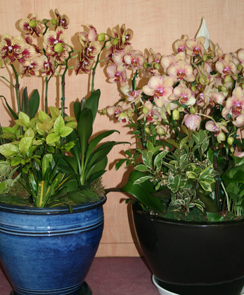 20110612_08.jpg