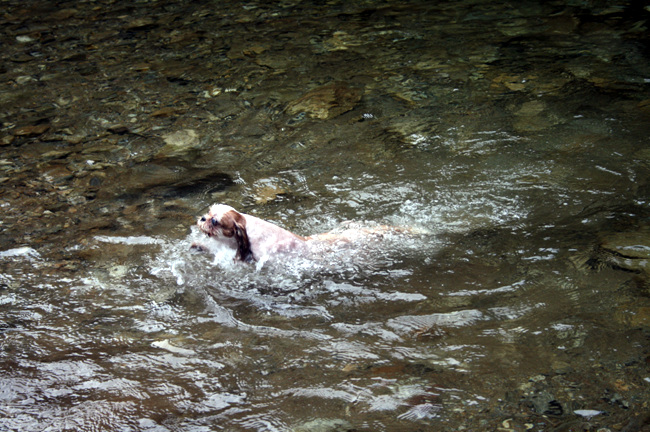 20110724_200.jpg