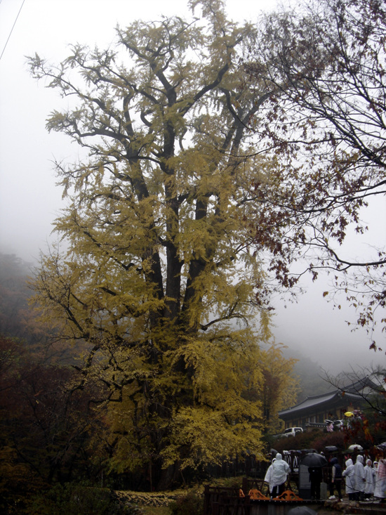 20111029_01.jpg