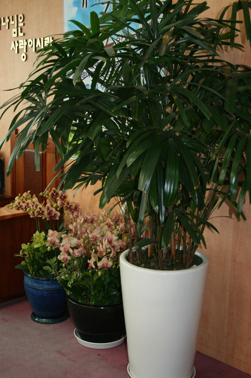 20110612_10.jpg